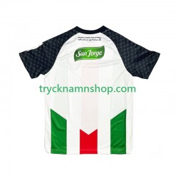 Club Deportivo Palestino 2025-2026 Tröja 1:a Matchställ Män Kortärmad