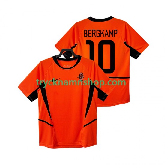 Nederländerna BERGKAMP 10 2002 Tröja Retro 1:a Matchställ Män Kortärmad