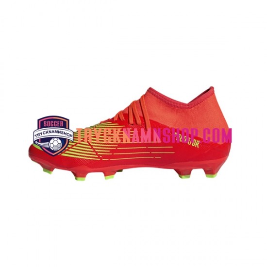 Adidas Predator EDGE.3 FG Game Data Röd Grön Fotbollsskor
