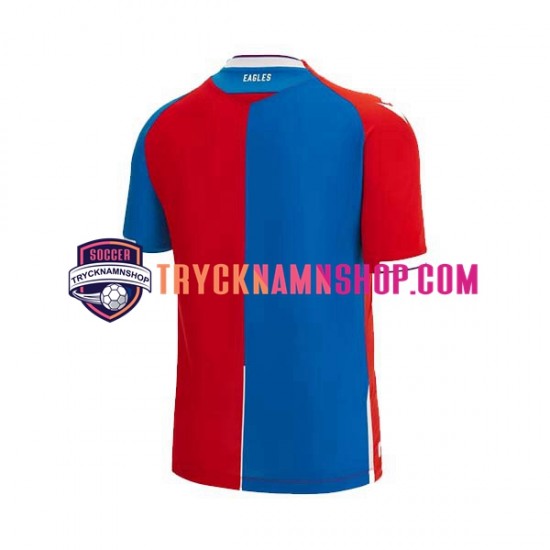 Crystal Palace 2023-2024 Tröja 1:a Matchställ Män Kortärmad