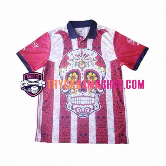 Deportivo Guadalajara Day of the Dead 2023-2024 Tröja 2:a Matchställ Män Kortärmad