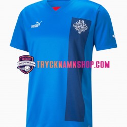 Island 2022 Tröja 1:a Matchställ Män Kortärmad