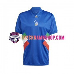 Italien Icon 2022-2023 Tröja Retro 1:a Matchställ Män Kortärmad