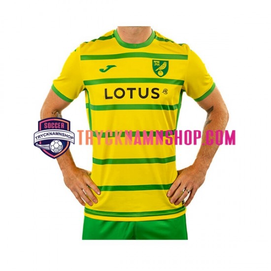 Norwich City 2023-2024 Tröja 1:a Matchställ Män Kortärmad