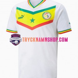 Senegal VM 2022 Tröja 1:a Matchställ Män Kortärmad