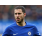 Hazard