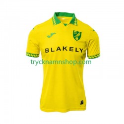 Norwich City 2025-2026 Tröja 1:a Matchställ Män Kortärmad