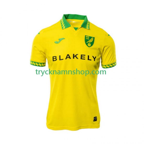 Norwich City 2025-2026 Tröja 1:a Matchställ Män Kortärmad