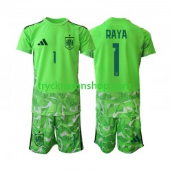 Spanien Målvakt David Raya 1 6th Green color VM 2026 Tröja Barn Kortärmad