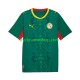 Senegal 2026 2027 Tröja 2:a Matchställ Män Kortärmad